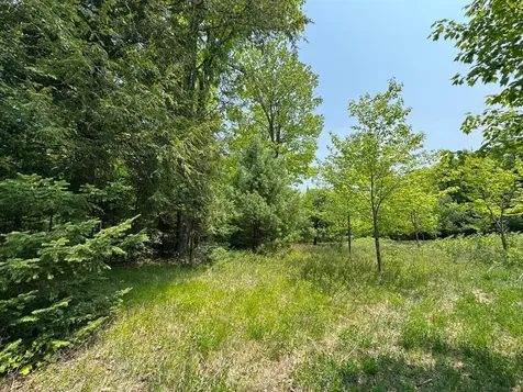 8677N Davis Road Mercer WI 54534