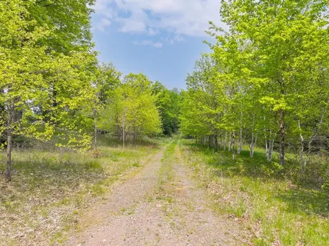 8677N Davis Road Mercer WI 54534