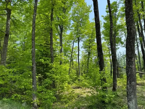 8677N Davis Road Mercer WI 54534