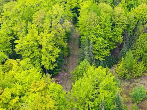 8677N Davis Road Mercer WI 54534