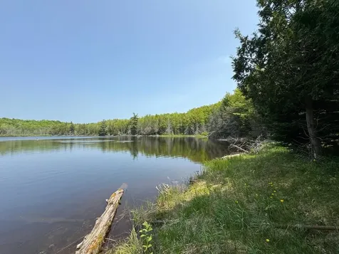 8677N Davis Road Mercer WI 54534