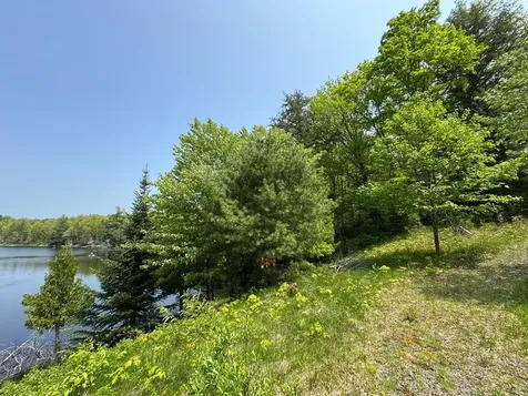 8677N Davis Road Mercer WI 54534