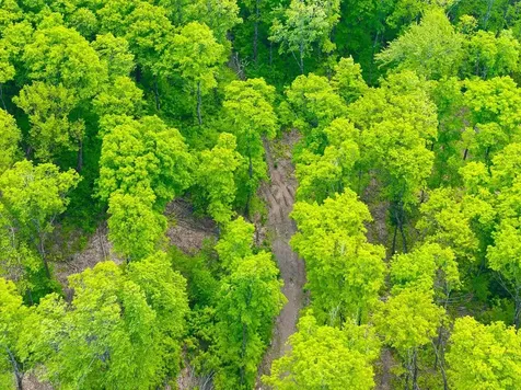 8677N Davis Road Mercer WI 54534