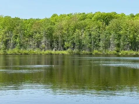 8677N Davis Road Mercer WI 54534