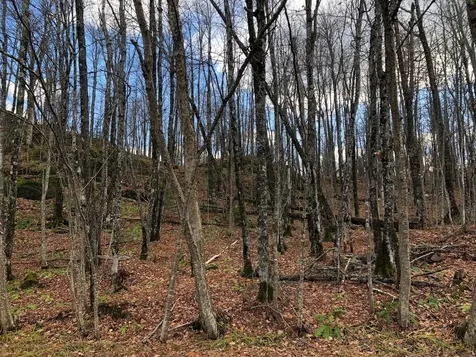 Outlot 3 Skye Drive Upson WI 54565