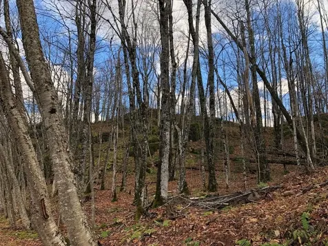 Outlot 3 Skye Drive Upson WI 54565