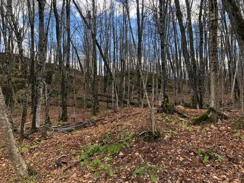 Outlot 3 Skye Drive Upson WI 54565