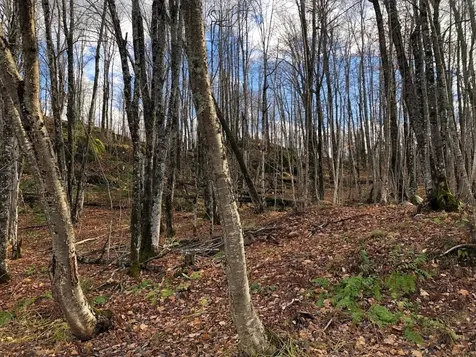 Outlot 3 Skye Drive Upson WI 54565