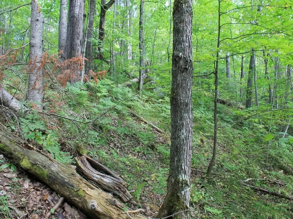 Lot 15 Alpine Drive Hurley WI 54565
