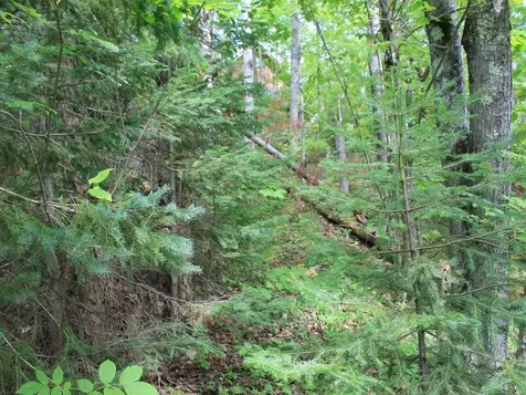 Lot 15 Alpine Drive Hurley WI 54565
