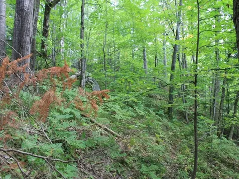 Lot 15 Alpine Drive Hurley WI 54565