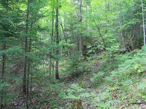 Lot 15 Alpine Drive Hurley WI 54565