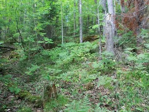 Lot 15 Alpine Drive Hurley WI 54565