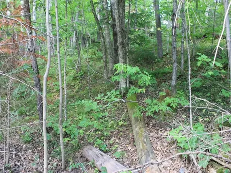Lot 15 Alpine Drive Hurley WI 54565