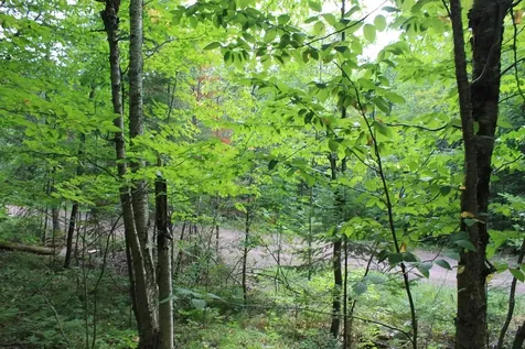 Lot 15 Alpine Drive Hurley WI 54565