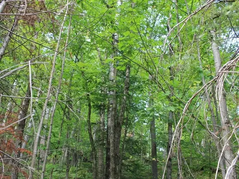 Lot 15 Alpine Drive Hurley WI 54565