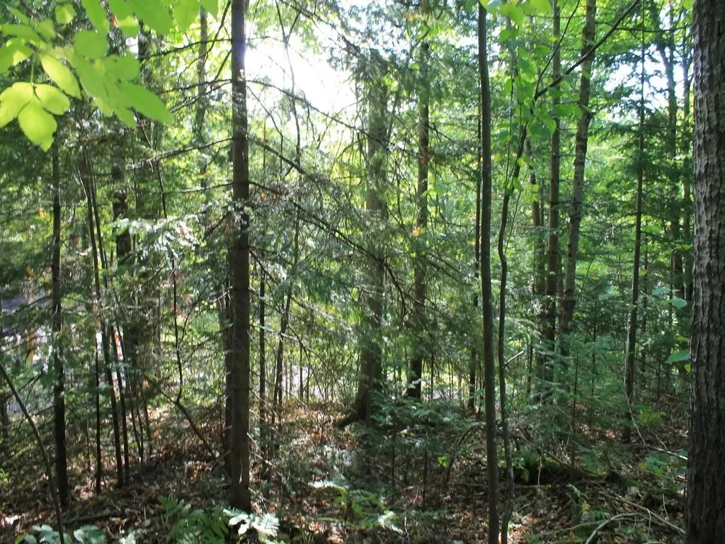 Lot 16 Alpine Drive Hurley WI 54565