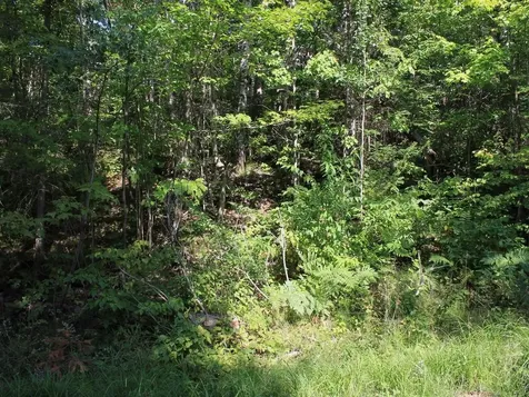 Lot 16 Alpine Drive Hurley WI 54565