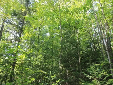 Lot 16 Alpine Drive Hurley WI 54565