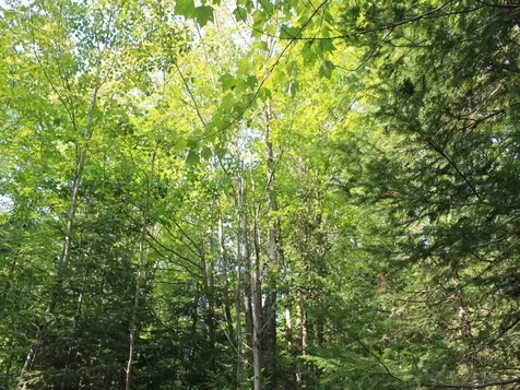 Lot 16 Alpine Drive Hurley WI 54565