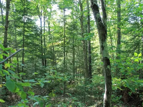 Lot 16 Alpine Drive Hurley WI 54565