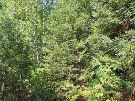 Lot 16 Alpine Drive Hurley WI 54565