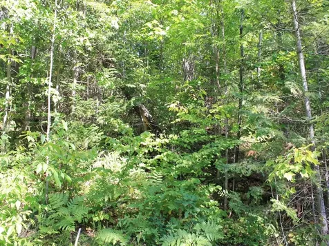Lot 16 Alpine Drive Hurley WI 54565