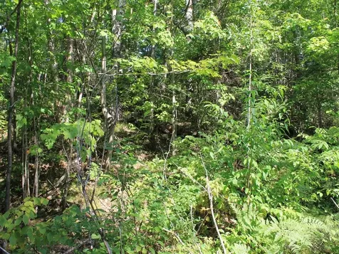 Lot 16 Alpine Drive Hurley WI 54565