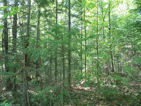 Lot 16 Alpine Drive Hurley WI 54565
