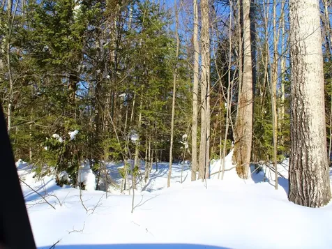 Lot 16 Alpine Drive Hurley WI 54565