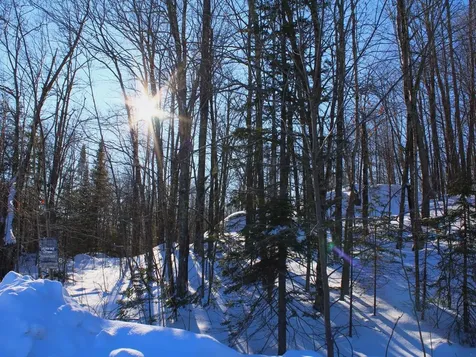 Lot 35 Alpine Drive Hurley WI 54565