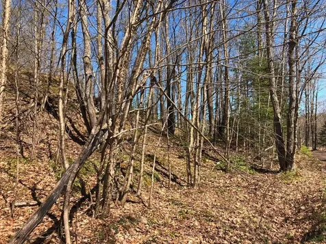 Lot 35 Alpine Drive Hurley WI 54565