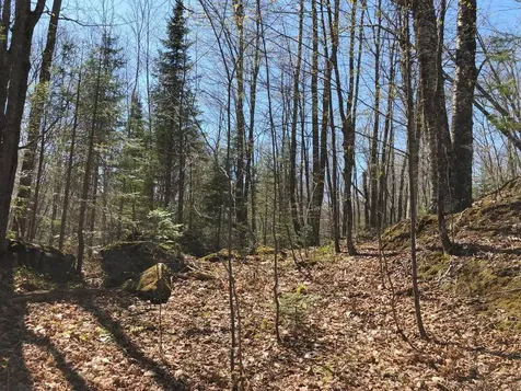 Lot 35 Alpine Drive Hurley WI 54565