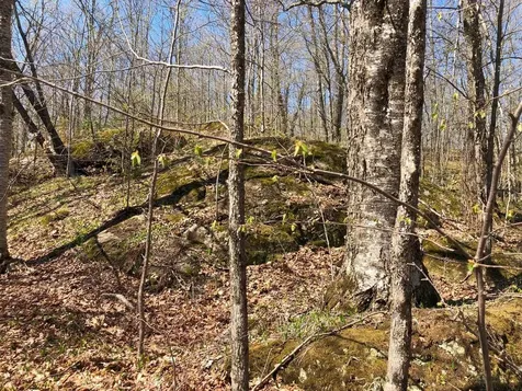 Lot 35 Alpine Drive Hurley WI 54565