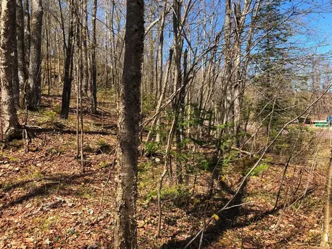 Lot 35 Alpine Drive Hurley WI 54565