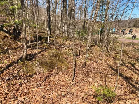 Lot 35 Alpine Drive Hurley WI 54565