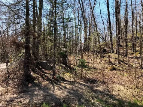 Lot 35 Alpine Drive Hurley WI 54565