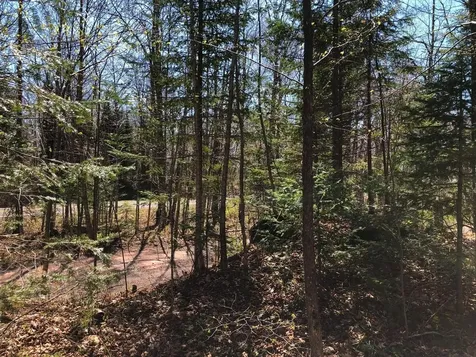 Lot 35 Alpine Drive Hurley WI 54565