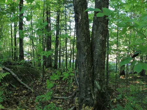 Lot 35 Alpine Drive Hurley WI 54565