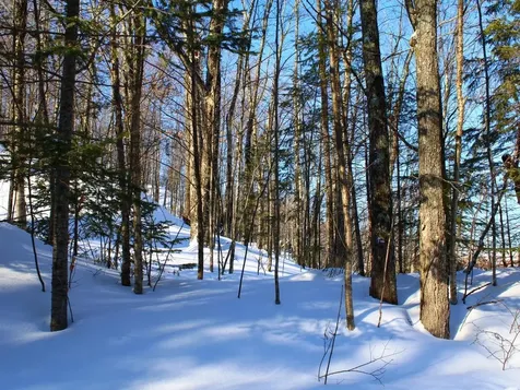 Lot 35 Alpine Drive Hurley WI 54565