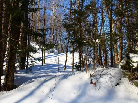 Lot 35 Alpine Drive Hurley WI 54565