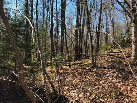 Lot 35 Alpine Drive Hurley WI 54565