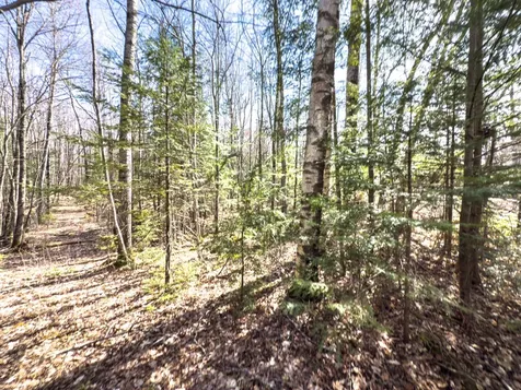 On Chaney Lake Road Bessemer Twp MI 49911