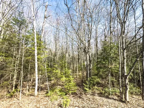 On Chaney Lake Road Bessemer Twp MI 49911