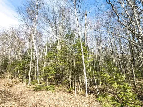 On Chaney Lake Road Bessemer Twp MI 49911