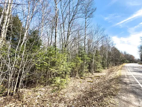 On Chaney Lake Road Bessemer Twp MI 49911