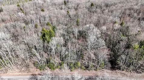 On Chaney Lake Road Bessemer Twp MI 49911