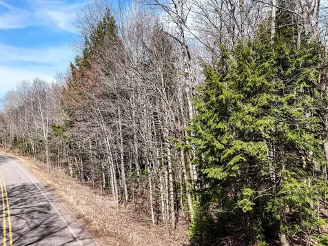 On Chaney Lake Road Bessemer Twp MI 49911
