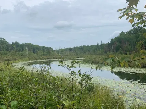 On Bear Tail Point Phelps WI 54554