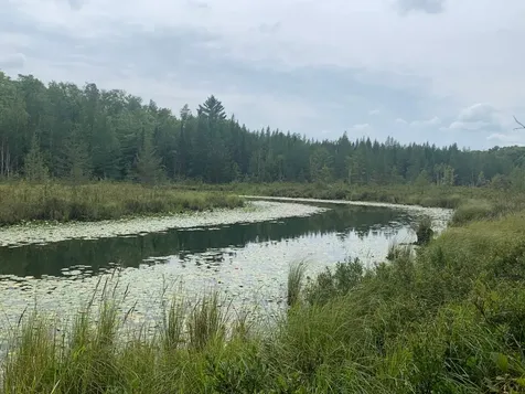On Bear Tail Point Phelps WI 54554